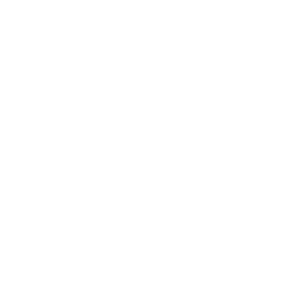 St. John Paul II Academy banner logo